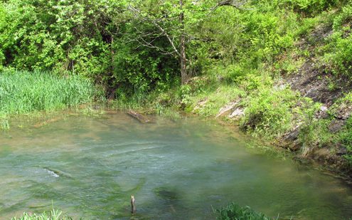 Sanders Spring